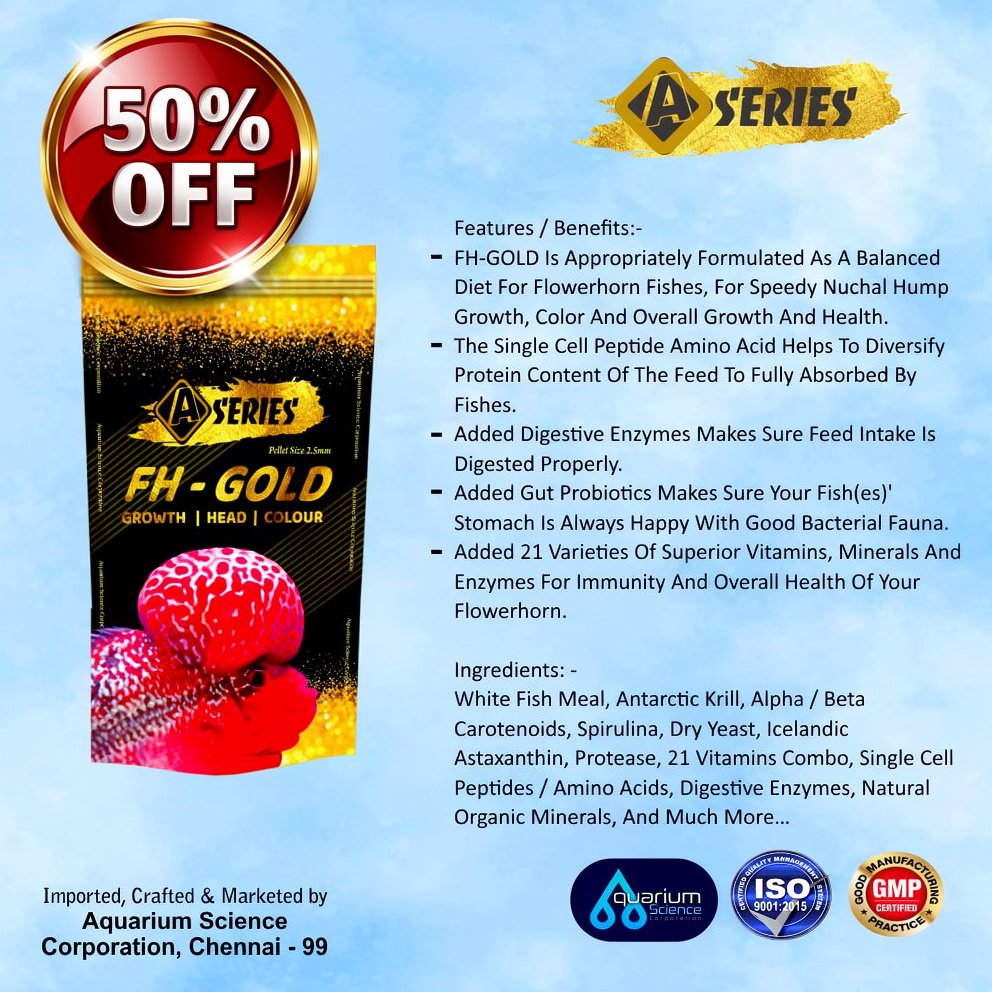 H-Gold Flowerhorn Growth Feed A Series FH-Gold | 2.5mm Premium Pellets for Nuchal Hump, Color Enhancement, Overall Growth & Immunity