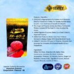 a serious fh – gold po1
