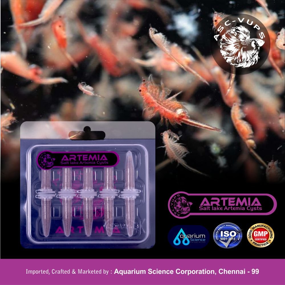 Artemia 95% Hatchable Brine Shrimp Cysts | Great Salt Lake Franciscana | 58% Protein | Ideal for Fry & Sensitive Fish
