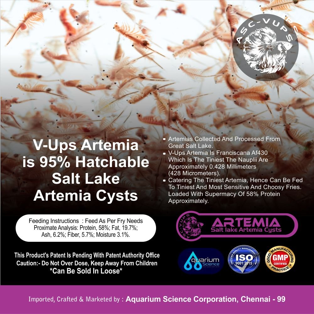 artemia 2