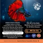 betta fix 1