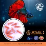 betta fix 1