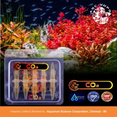 Macronix: Complete NPK Fertilization for Maximum Plant Growth