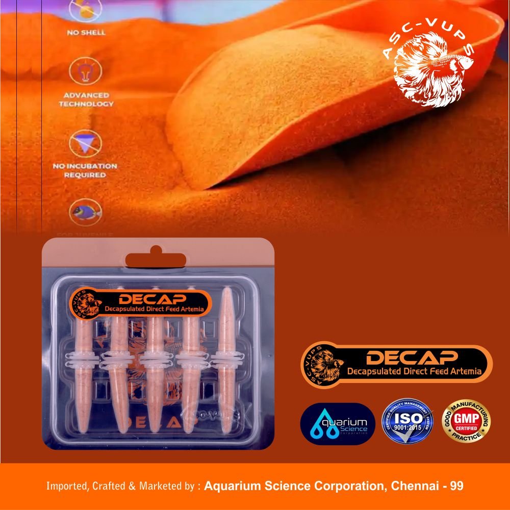 Decapsulated Artemia Feed for Fry | No Antibiotics or Preservatives | Highly Digestible Non‑Hatching Eggs | Rich in Omega