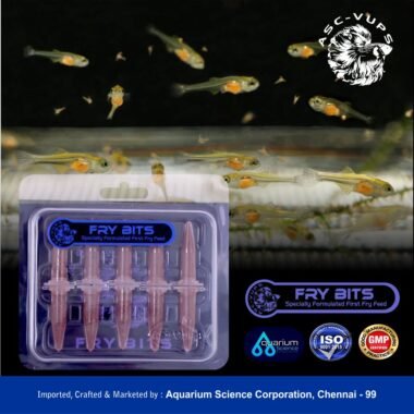 Decapsulated Brine Shrimp Eggs: The Hassle-Free Alternative to Hatching