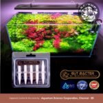 Gut Bacter | Gut Beneficial Bacteria Cocktail | Probiotic Nitrifying Starter (Nitrosomonas, Alcaligenes, L. rhamnosus, Aspergillus) for Aquarium Startup | Fish Gut Health