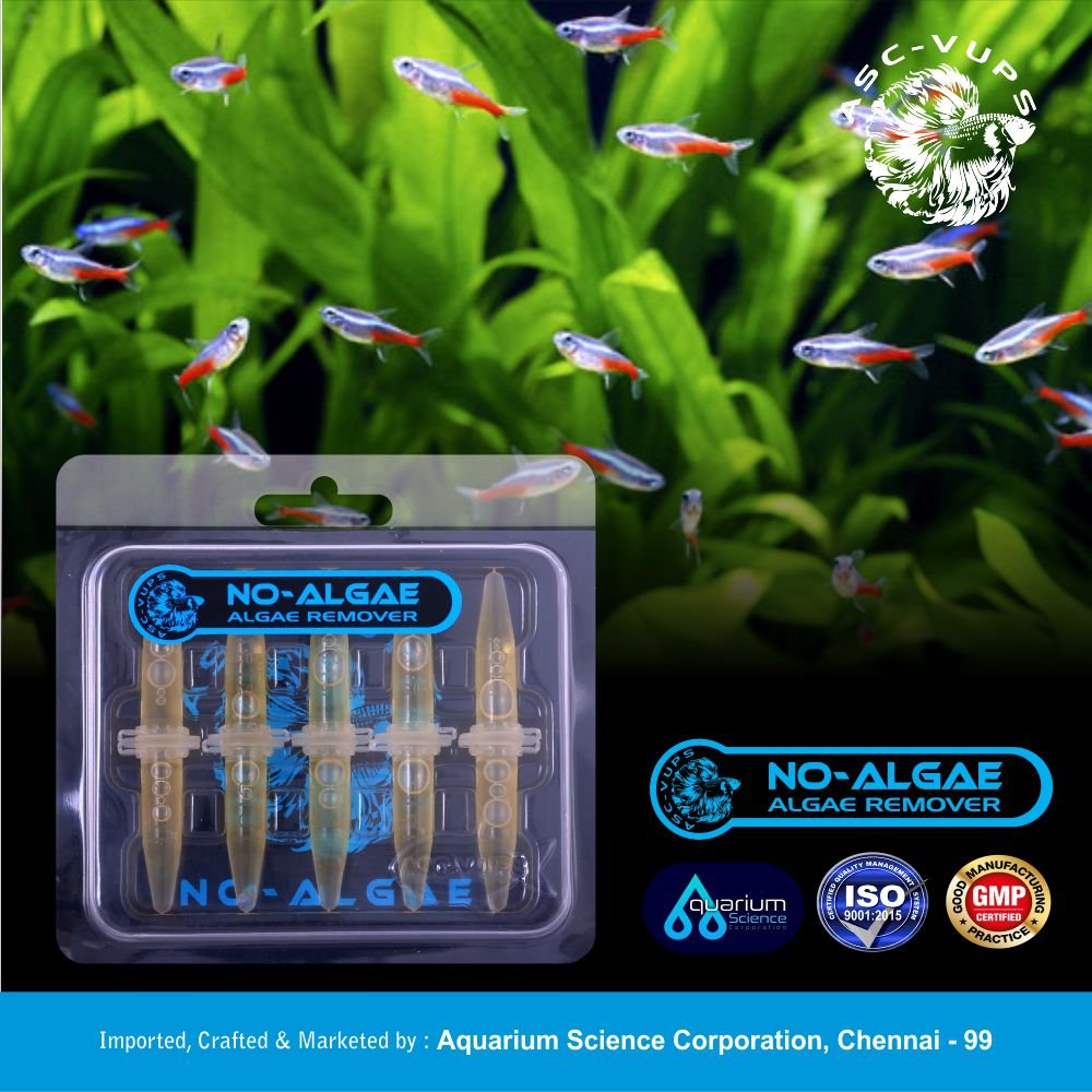 Algae Nil Aquarium Science CorporationV-UPS Algae-Nil Natural Algae Remover for Aquariums | Kills Green, Brown, Black, Beard, Filamentous & Cyano Algae | Safe for Fish, Shrimp, Snails