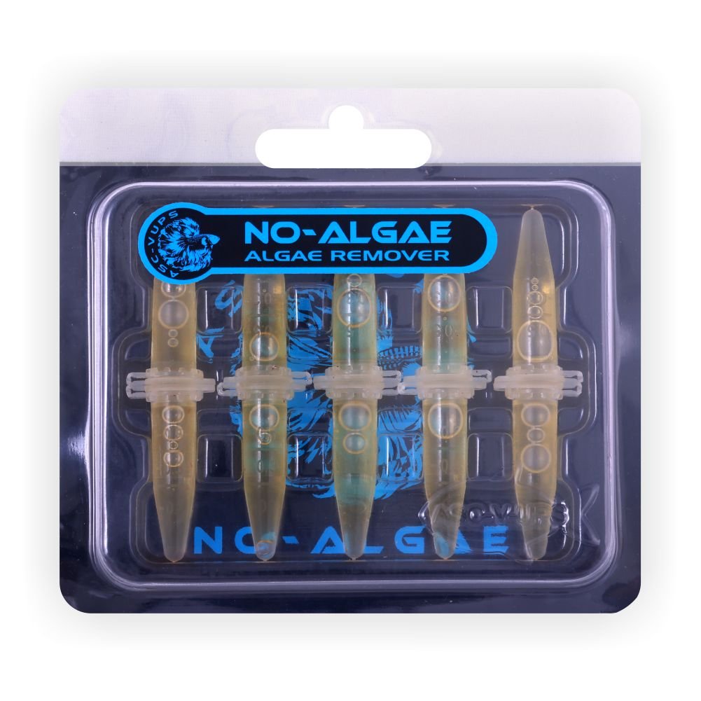 no algae