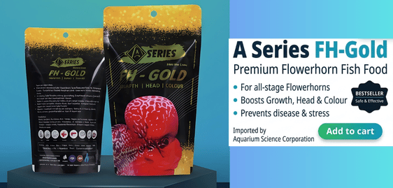 a series food for fish